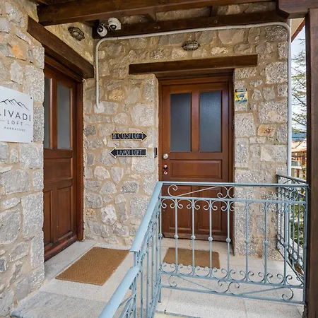 Apartment Livadi Loft Parnassos *